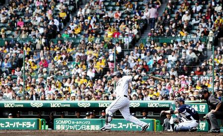 　２回、左飛に倒れるヘイグ（撮影・高部洋祐）