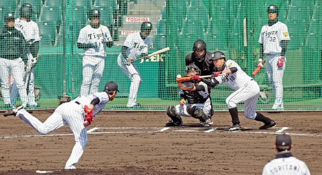 球児、右も左も　スイッチバント！？