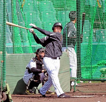 フリー打撃で汗を流す高山（撮影・飯室逸平）