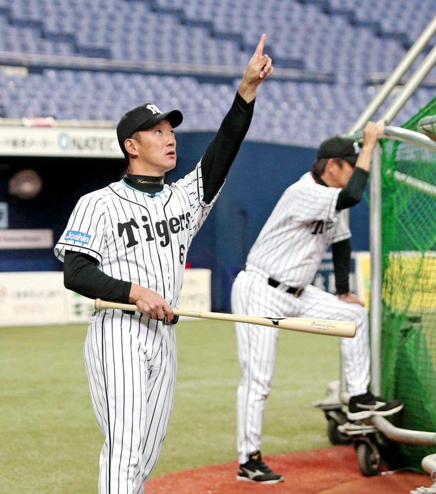 　開幕戦に向け選手の練習を見守る金本監督（撮影・高部洋祐）