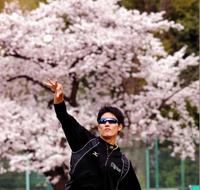 満開の桜を背にキャッチボールする阪神・藤浪晋太郎＝神宮（撮影・飯室逸平）