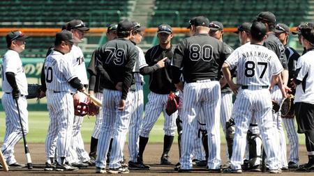 練習前に内野に集まる阪神・鳥谷　敬（中央）ら阪神ナイン＝甲子園（撮影・高部洋祐）