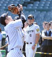 フライの練習を見つめる阪神・金本知憲監督＝甲子園（撮影・田中太一）