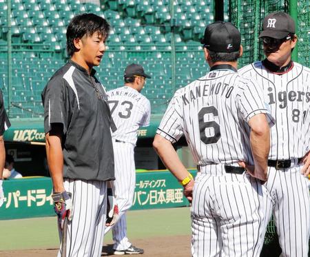 金本監督（６）、片岡コーチ（右）と話す横田＝京セラドーム大阪（撮影・北村雅宏）