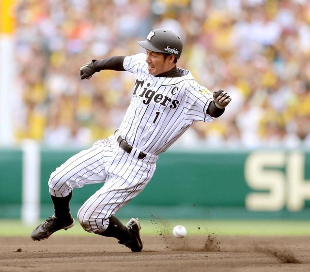 鳥谷2度目猛打賞 金本監督が初の太鼓判