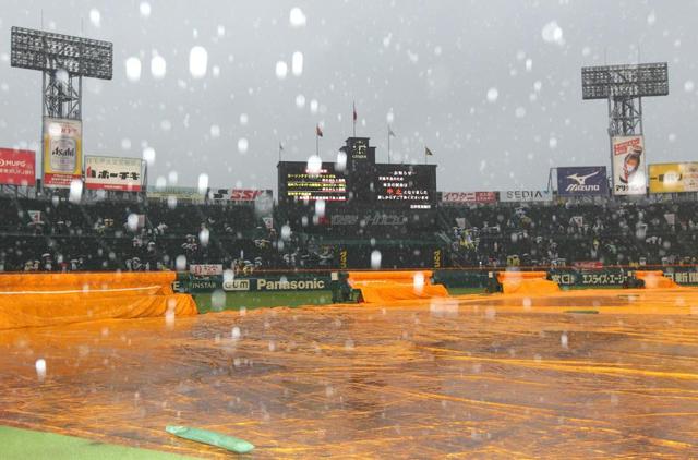 阪神－オリックス戦は雨で中止