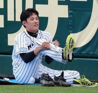 靴の紐を結ぶ阪神・藤浪晋太郎＝甲子園（撮影・高部洋祐）