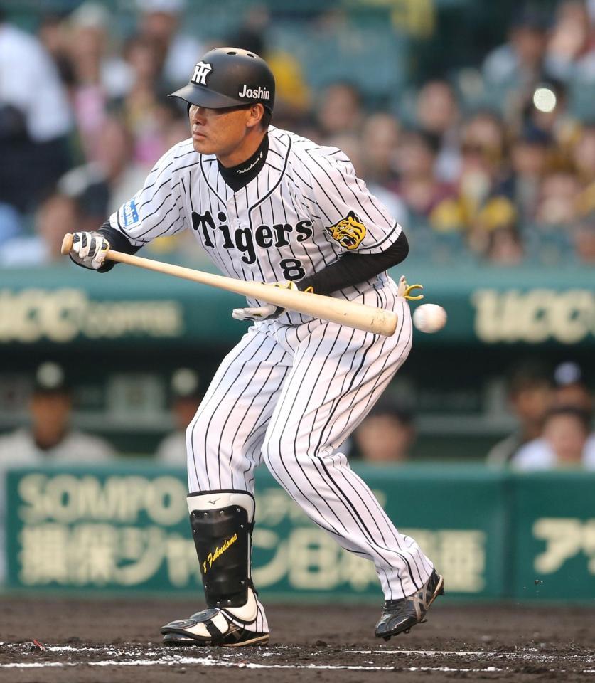 ２回、バントのかまえをする阪神・福留孝介＝甲子園（撮影・田中太一）