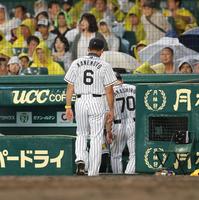 ４回終了後、選手交代を告げ足取り重くベンチへ戻る阪神・金本知憲監督＝甲子園（撮影・飯室逸平）