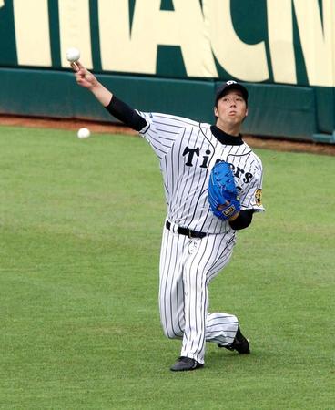 　キャッチボールで調整する青柳（撮影・持木克友）