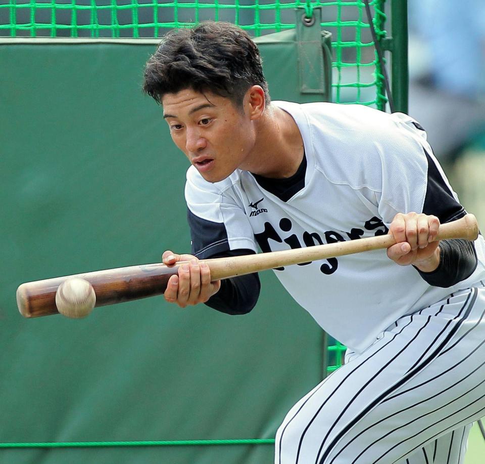 バント練習に励む阪神・坂本＝甲子園