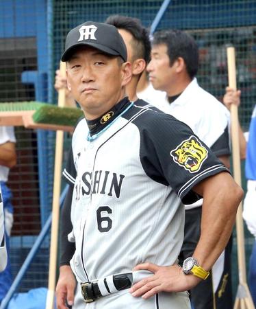 阪神・金本知憲監督＝横浜（撮影・飯室逸平）