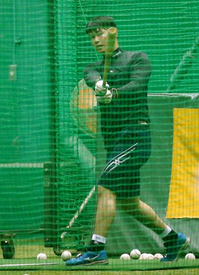 打撃練習に励む阪神・原口文仁＝甲子園（撮影・北村雅宏）