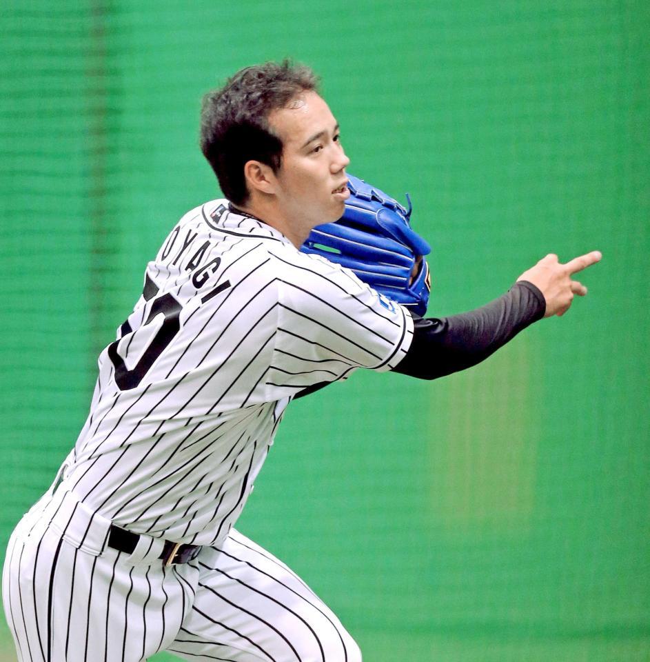 　キャッチボールで汗を流し、調整する青柳