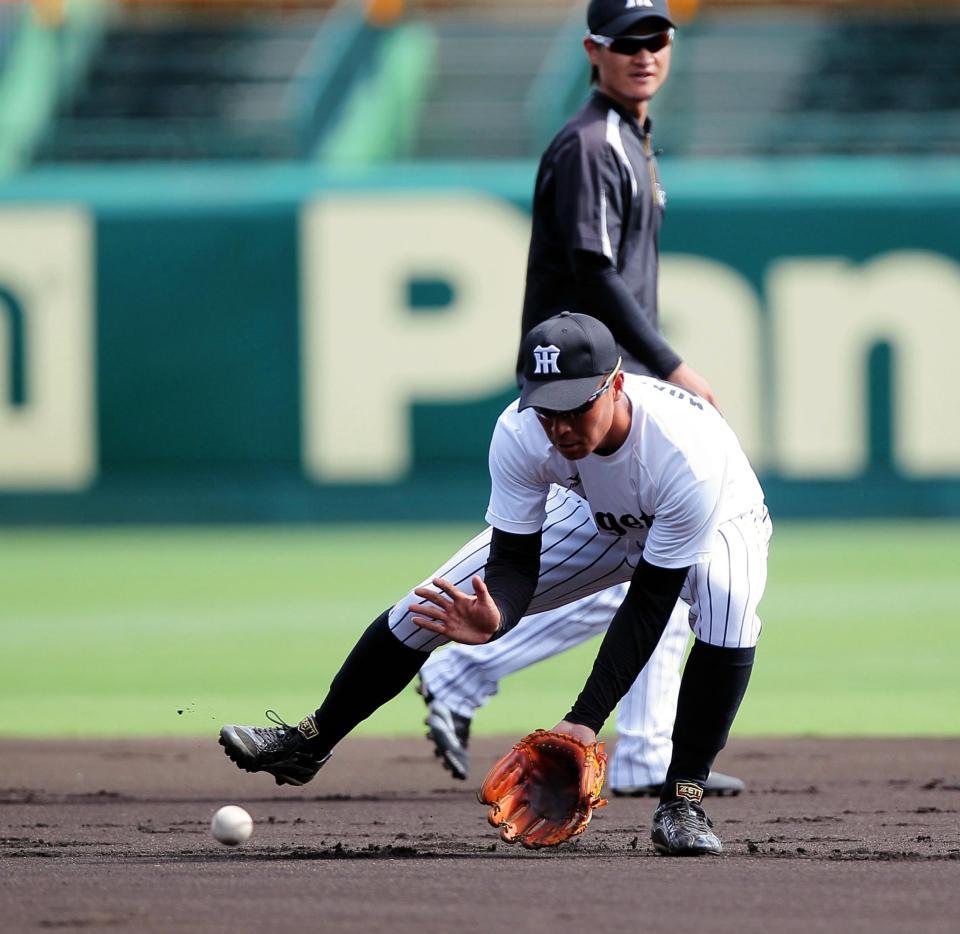 １軍に合流し、守備練習する阪神・森越＝甲子園（撮影・北村雅宏）