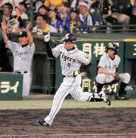 ７回、勝ち越しソロを放ちポーズを決める福留（撮影・高部洋祐）