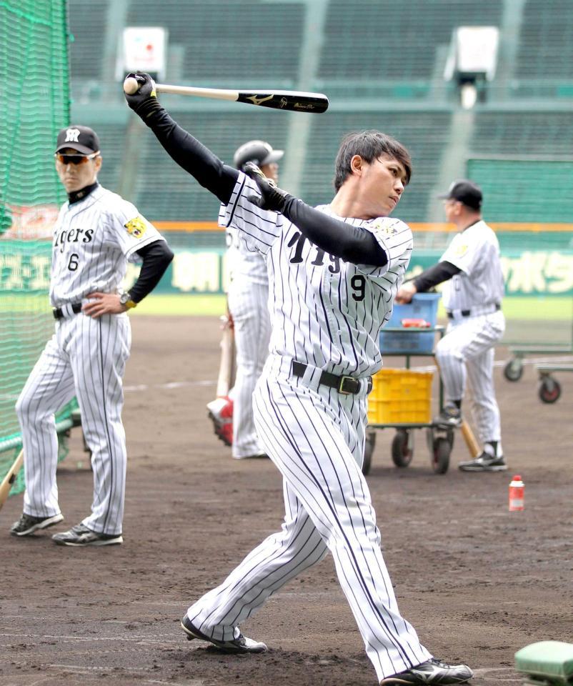 金本監督が見つめる中、打撃練習する高山　