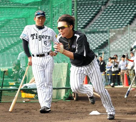 　金本監督の前でダッシュする北條