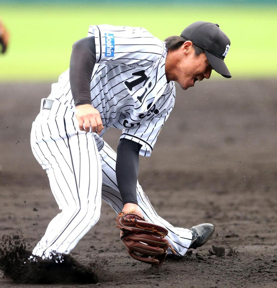 ノックで軽快な動きを見せる阪神・陽川尚将＝甲子園（撮影・飯室逸平）