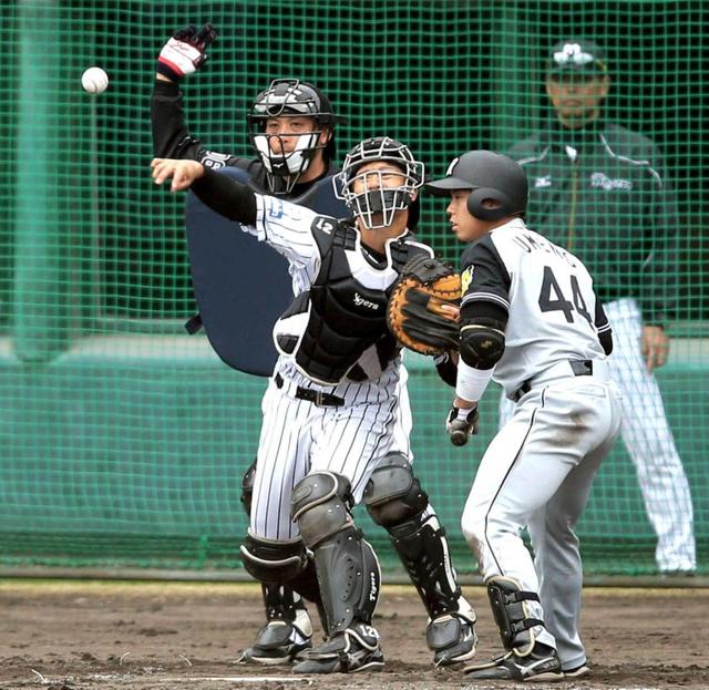 阪神・坂本、ヤ・山田先輩、もう走らせません！　正捕手へ猛アピール