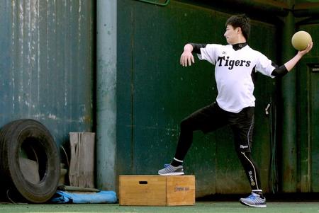 　ブルペンで黙々とトレーニングする岩崎（撮影・飯室逸平）