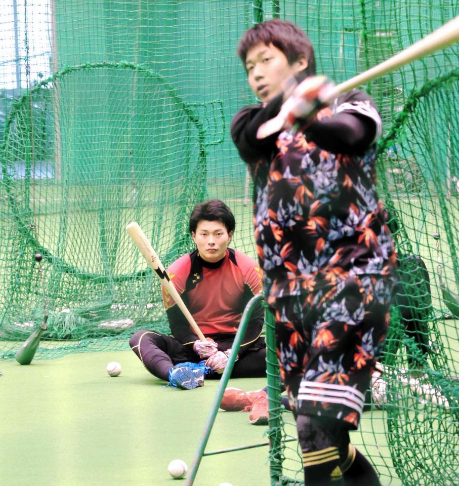 　今年１月、自主トレでヤクルト・山田の打撃練習を見つめる北條　