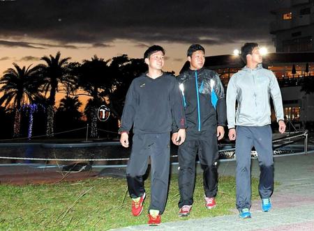 　沖縄入りし、夕焼けをバックに散歩する（左から）糸原、大山、小野（撮影・北村雅宏）