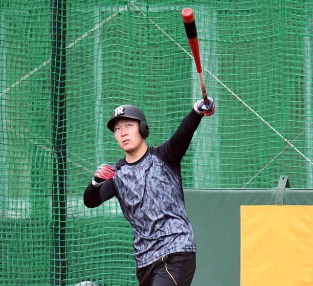 ドラ1・大山が今季チーム1号！？/タイガース/デイリースポーツ online