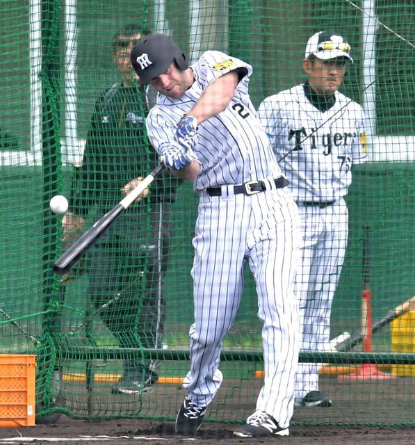 【写真】阪神新助っ人キャンベル早速フリー打撃　珍しいバットも披露