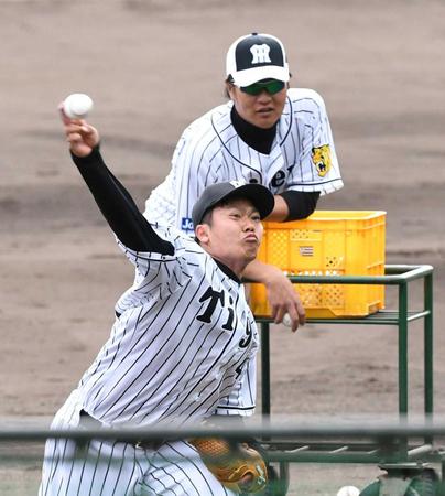 　打撃投手を務める福永。後方は福原コーチ（撮影・田中太一）