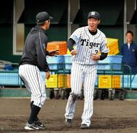 ベースランニングで最後に滑り込んだ阪神・鳥谷敬（左）に容赦なくアウトの判定を下す阪神・大山悠輔＝宜野座（撮影・出月俊成）