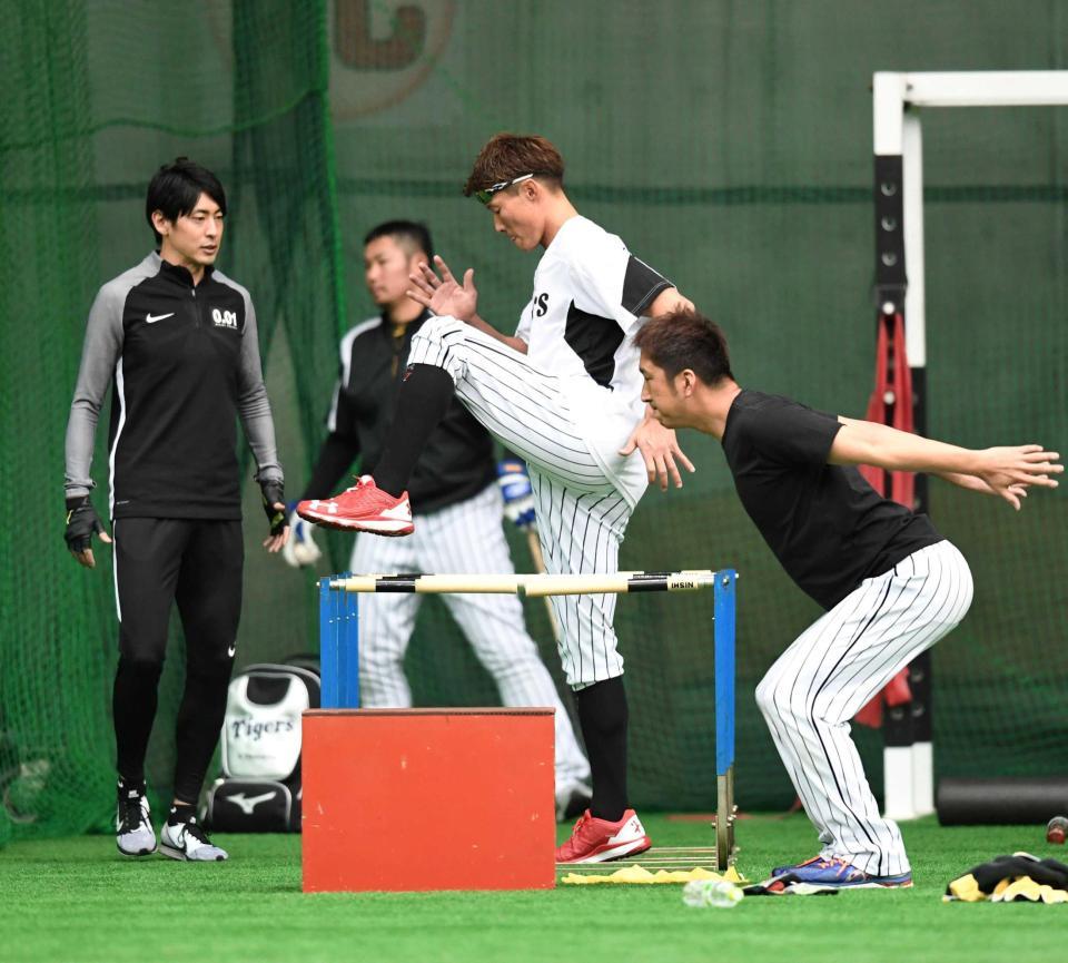 　秋本氏が見守る中、ハードルを使ってトレーニングする糸井（撮影・飯室逸平）