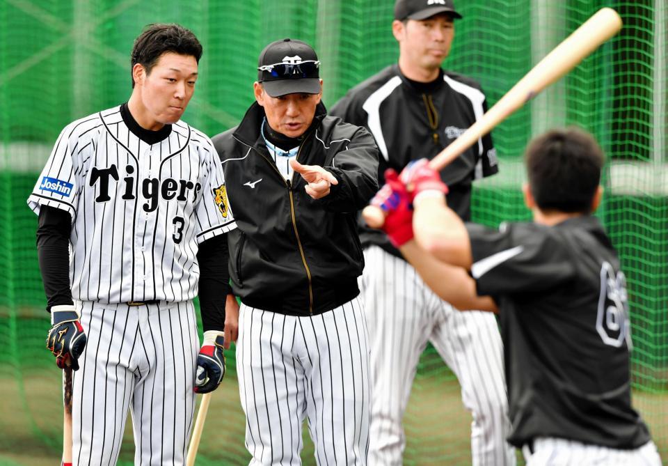 金本監督（中央）に、板山（手前）の打撃練習に注目するよう促される大山＝宜野座