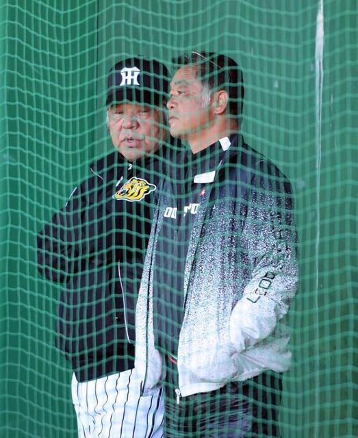 阪神・川藤ＯＢ会長が西岡に熱視線「バットは何グラムや」