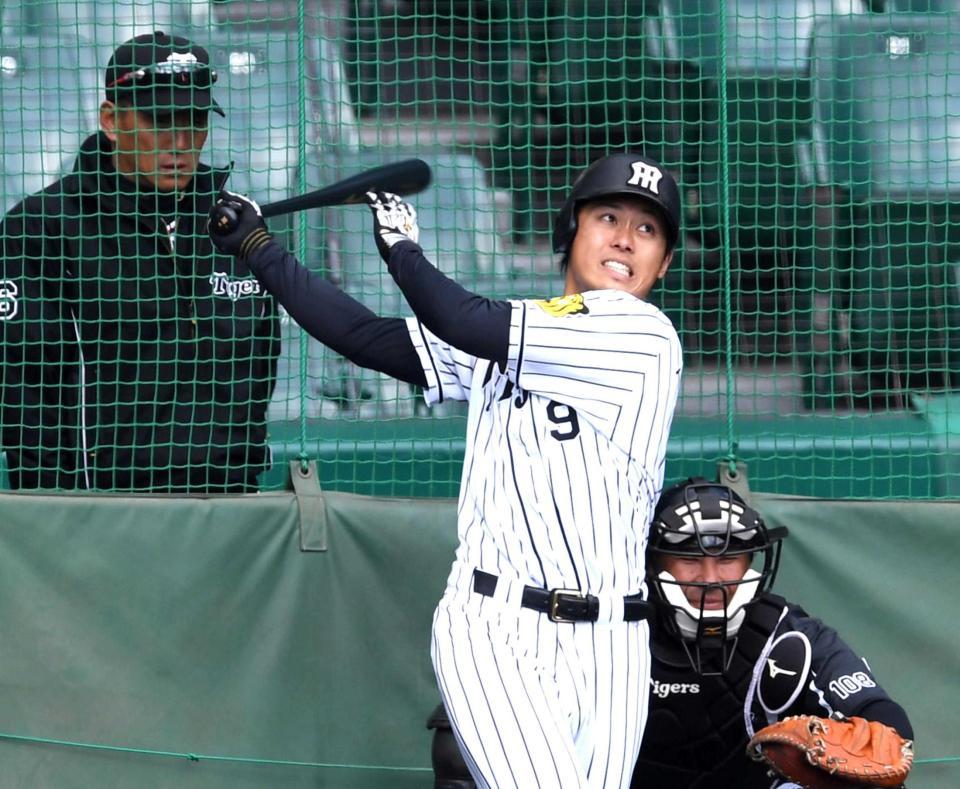 　金本監督（左）が見守る中、特打に励む高山