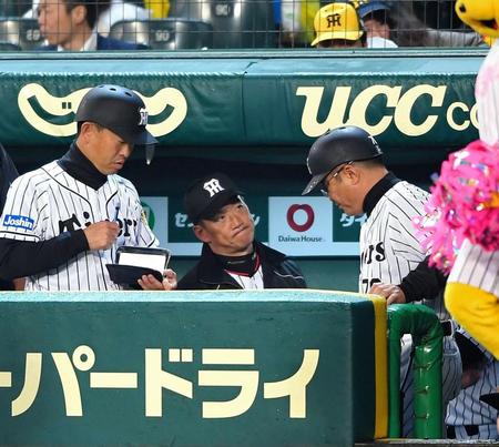 ベンチで厳しい表情の阪神・金本監督（中央）＝撮影・北村雅宏