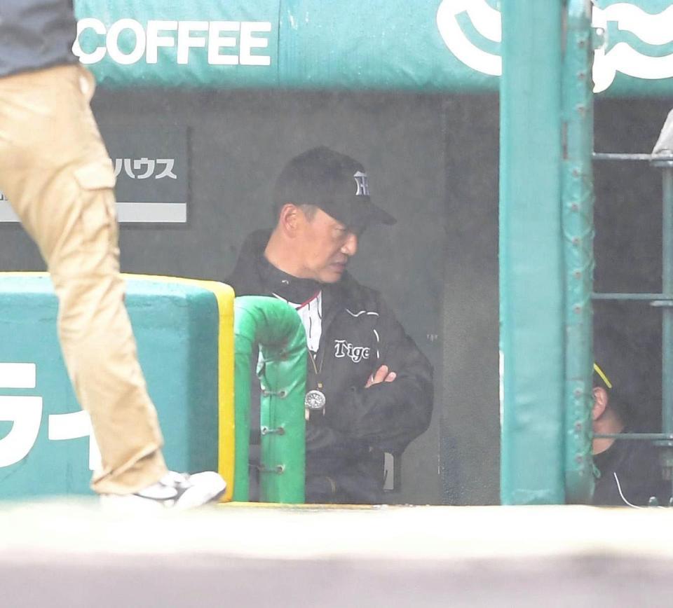 中断中、ベンチ奥へと姿を消す阪神・金本知憲監督＝甲子園（撮影・北村雅宏）