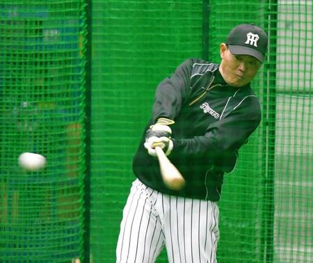 試合前、フリー打撃で快音を響かせる阪神・福留孝介＝甲子園（撮影・高部洋祐）