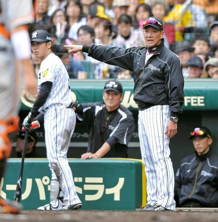 　７回、高山（左）に代打を告げる金本監督