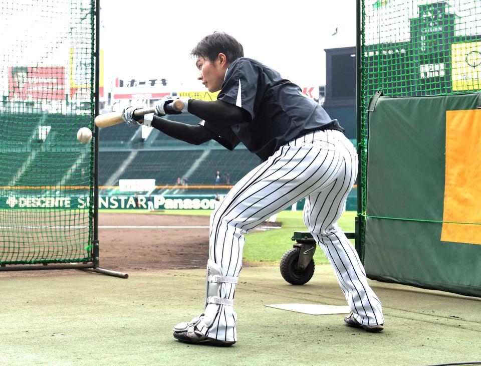 　投手寄りの打席位置でバントの練習をする北條