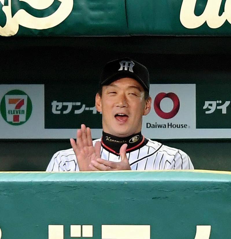 勝利の瞬間、手をたたいて喜ぶ阪神・金本知憲監督＝甲子園（撮影・北村雅宏）