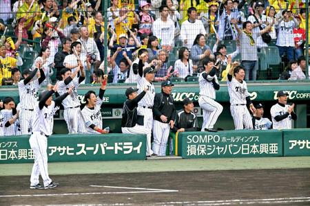 　７回、梅野のタイムリー三塁打で勝ち越し、歓喜する阪神ベンチ（撮影・飯室逸平）