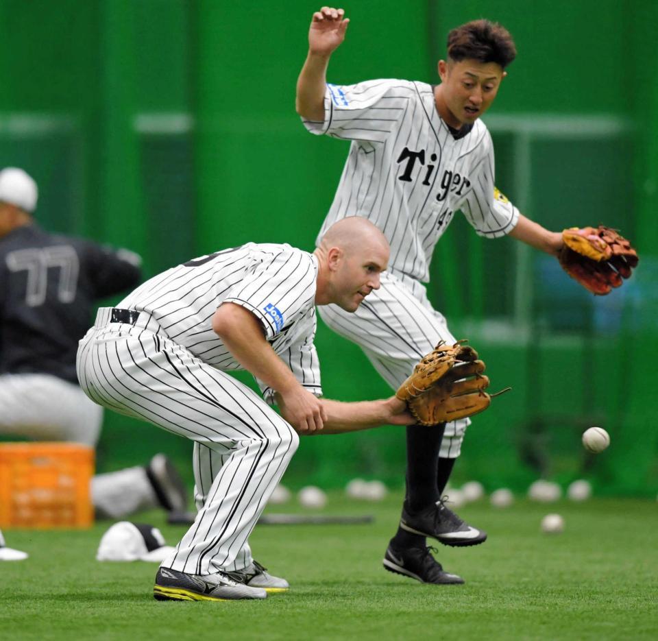 　捕球を妨害しようとする今成（右）の攻撃にも負けずノックを受けるキャンベル（撮影・高部洋祐）