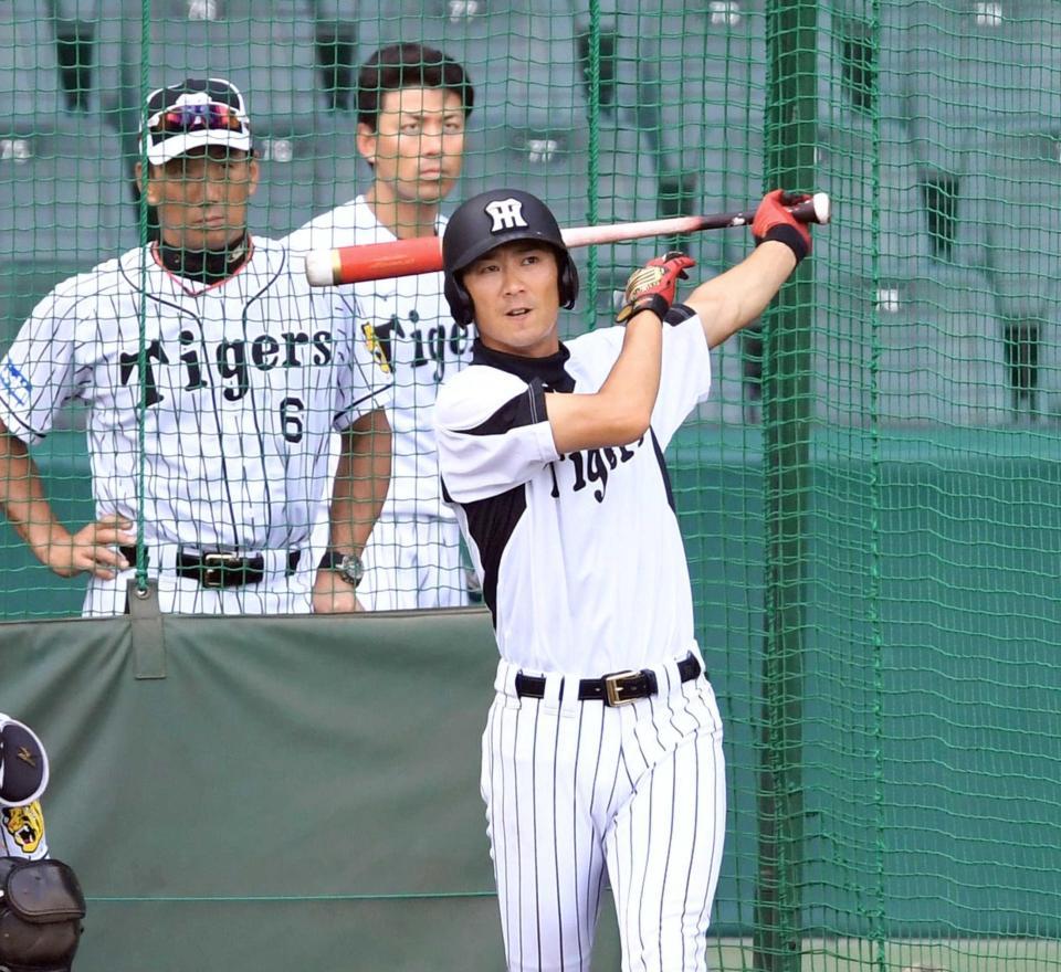 　金本監督（左）が見守る前で打撃練習する西岡＝甲子園