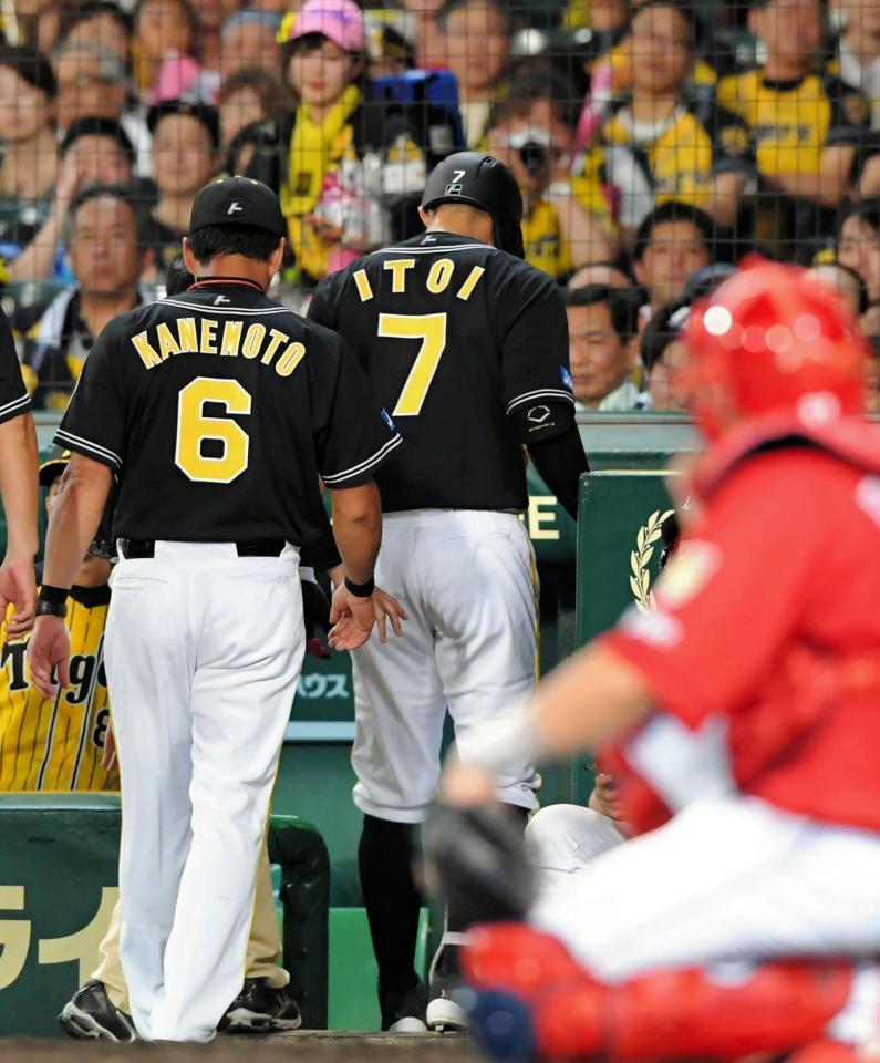 ５回、打席途中でベンチに下がる阪神・糸井嘉男（右）＝甲子園（撮影・高部洋祐）