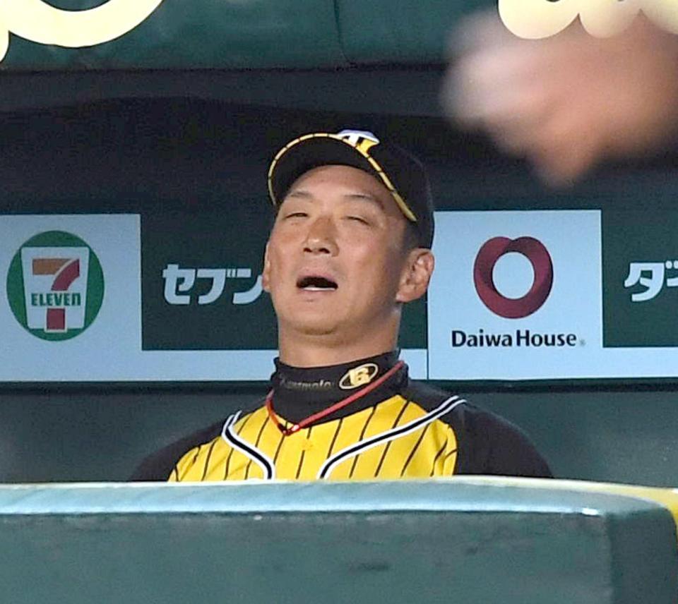 ベンチで天を仰ぐ金本監督