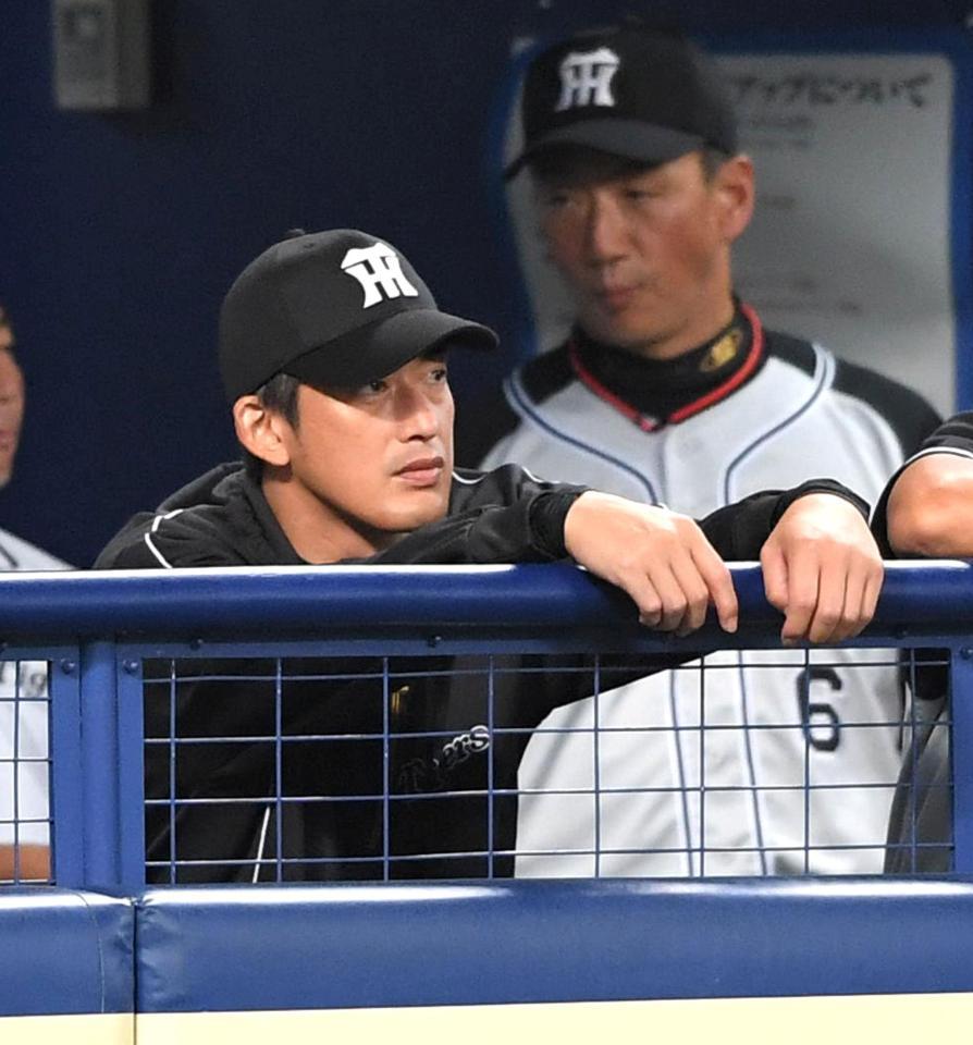 ベンチからぼう然と試合を見守る能見