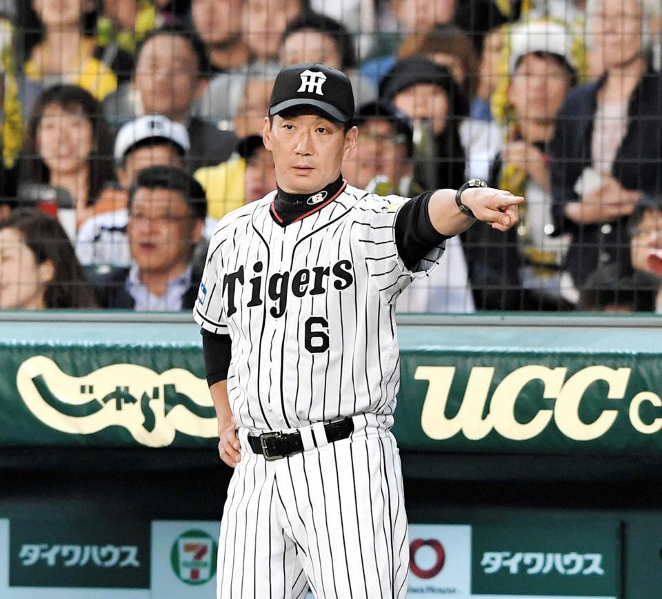 甲子園６連戦に向け意気込みを語った金本監督