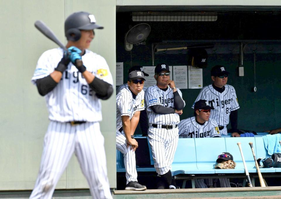 ベンチから戦況を見守る掛布２軍監督（右）と今岡コーチ　