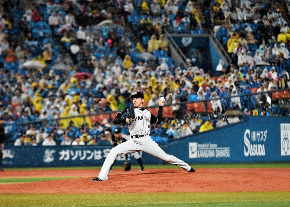 　雨の中、力投する能見（撮影・園田高夫）